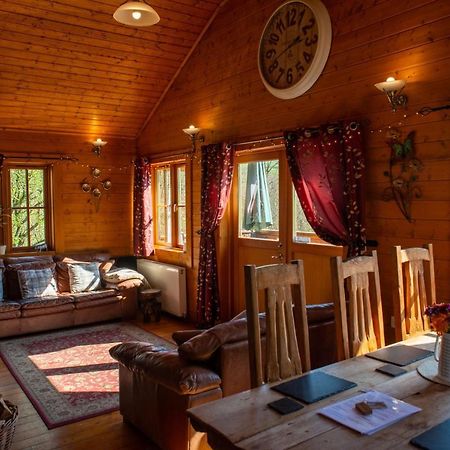 George Cabin - Log Cabin In Wales With Hot Tub Newtown  Esterno foto