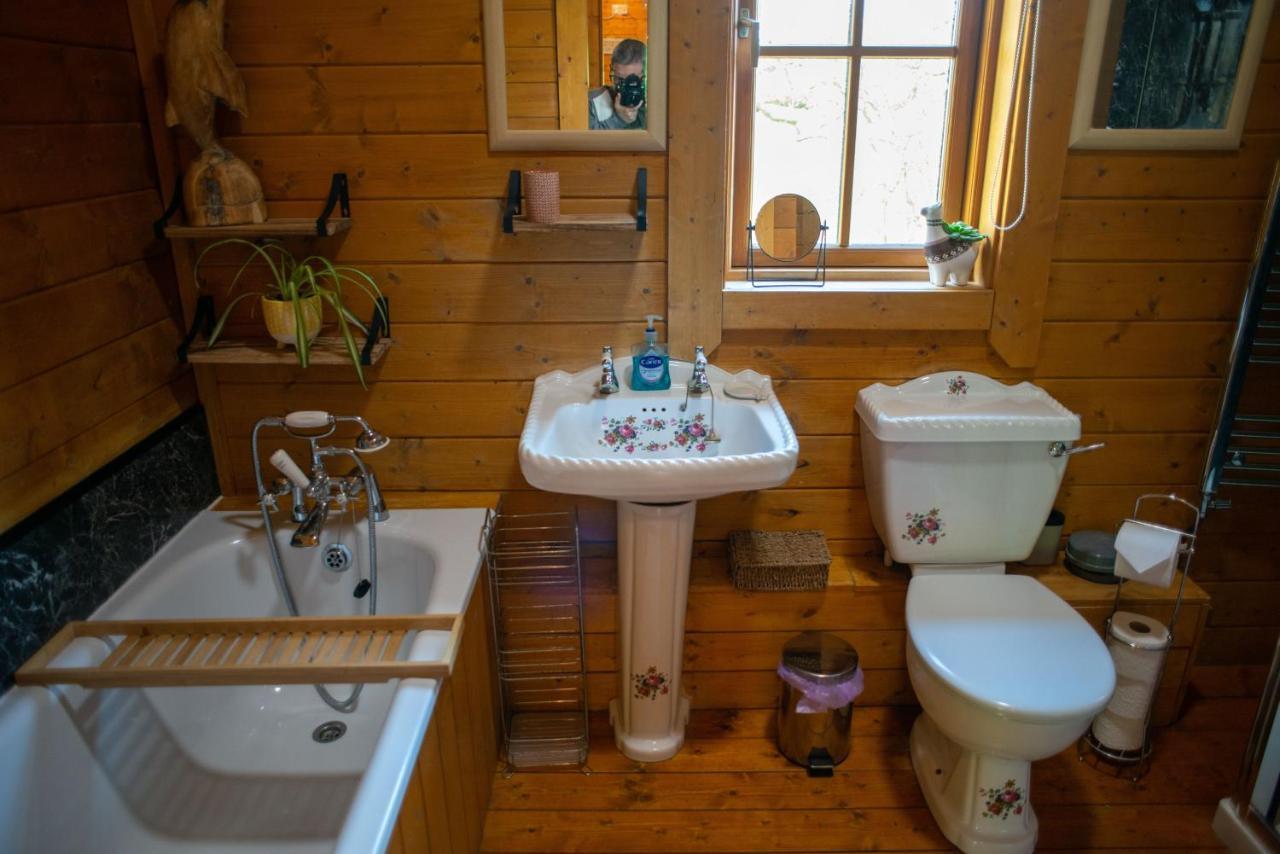 George Cabin - Log Cabin In Wales With Hot Tub Newtown  Esterno foto