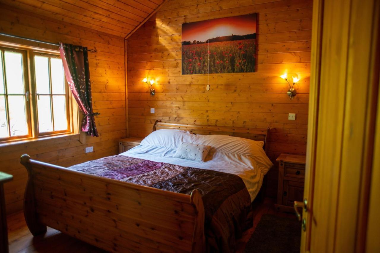 George Cabin - Log Cabin In Wales With Hot Tub Newtown  Esterno foto
