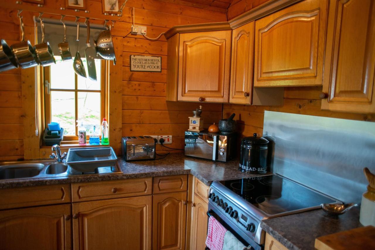 George Cabin - Log Cabin In Wales With Hot Tub Newtown  Esterno foto
